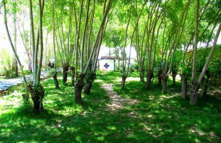 拉萨娘热民俗风情园