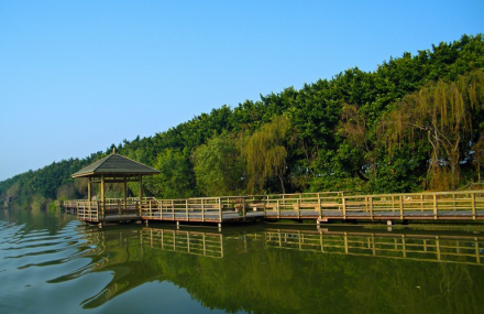 广州南沙湿地公园