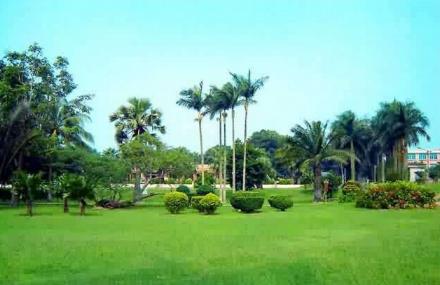 湛江南亚热带植物园