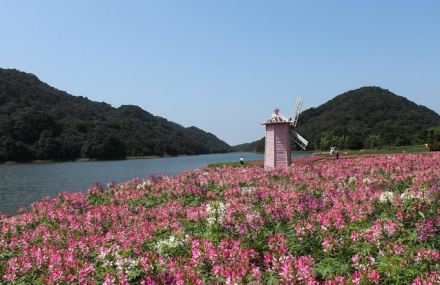 广州石门国家森林公园