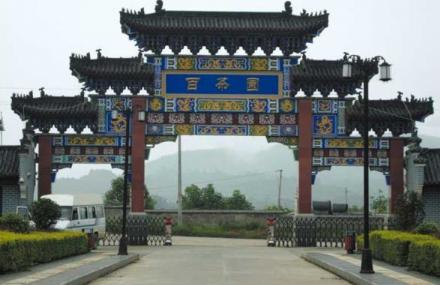 九江修水百茶园