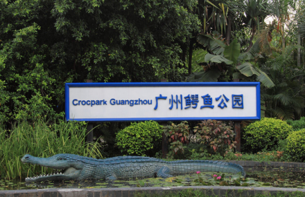 广州鳄鱼公园
