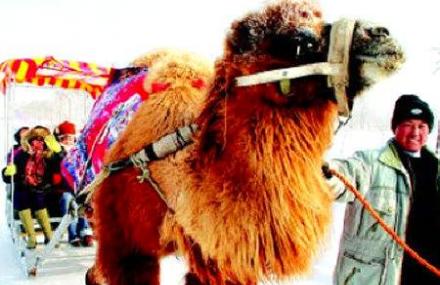 昌吉黑马科技园