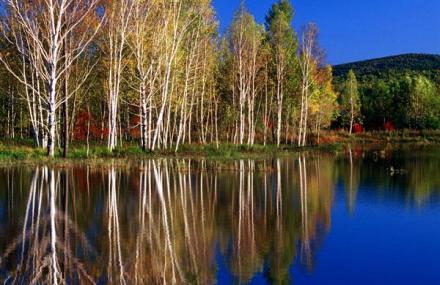 伊春溪水国家森林公园