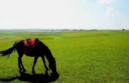 包头新世纪青年生态园