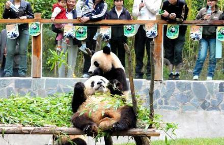 昆明云南野生动物园