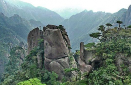 重庆铁峰山森林公园