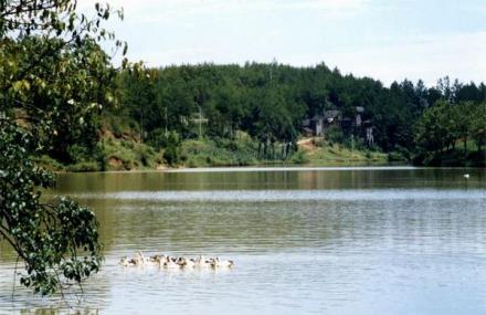 重庆天鹅湖
