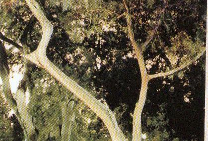 北京劳动人民文化宫