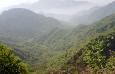 北京大岭沟猕猴桃谷
