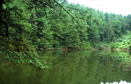 重庆大垭口森林公园