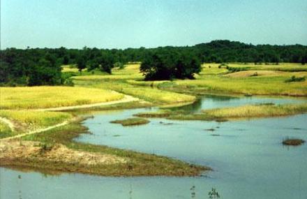 宿迁嶂山森林公园