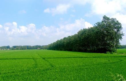 盐城大丰斗龙庄园