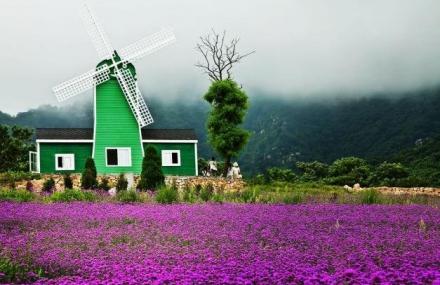 大连薰衣草庄园