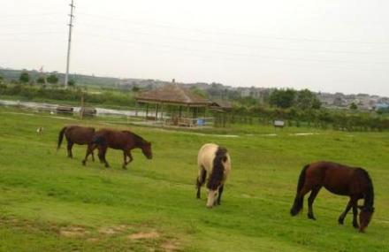 南京淳化山田牛奶园景区