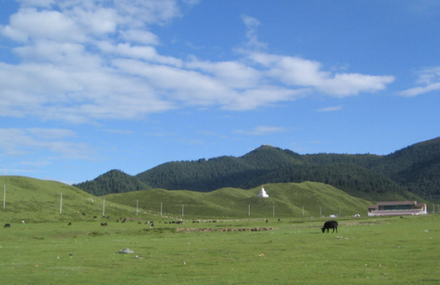 甘南当周草原