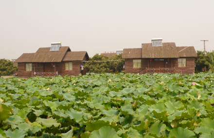 吉安香樟园生态休闲农庄