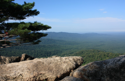 哈尔滨双子山原始森林公园
