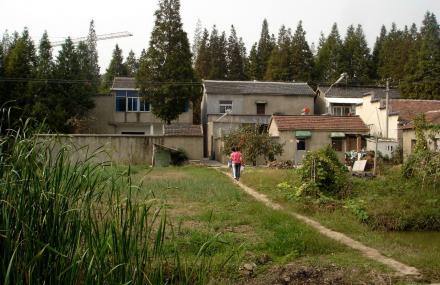 镇江江心洲大套风光带农家乐