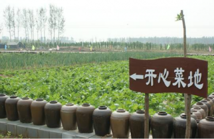 东营丽日锄禾景区