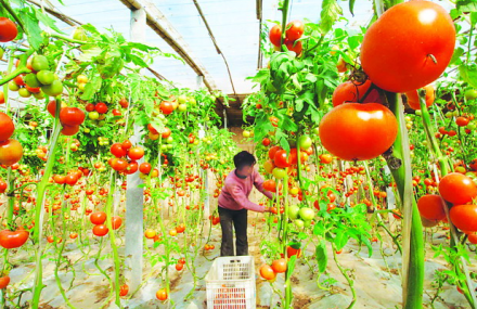 保定永发诚信蓄牧生态园