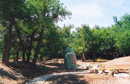 乌鲁木齐燕尔窝