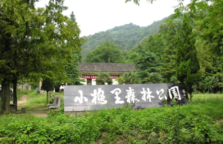 芜湖小格里森林公园