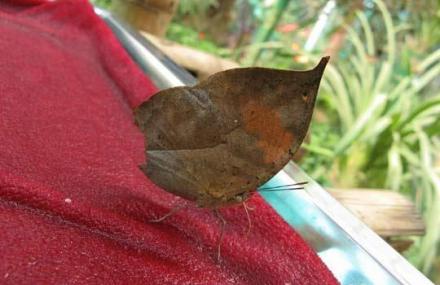 乌鲁木齐中科院生地所标本馆