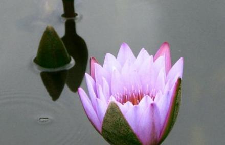 普洱梅子湖公园