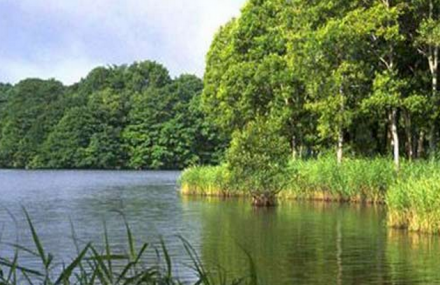 兴安盟蒙格罕山