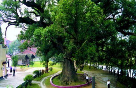 衢州古名酒文化村