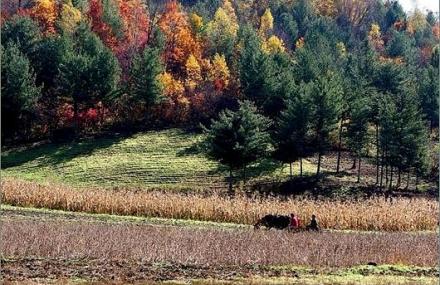 伊春朗乡玉兔仙潭风景区