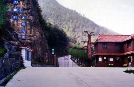 十堰牛头山森林公园