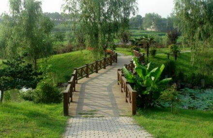 南京桂子山石柱林