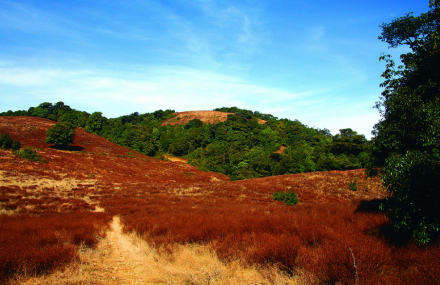 保山高黎贡山自然公园