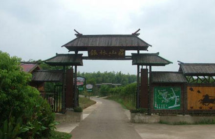 南京银林生态农业园