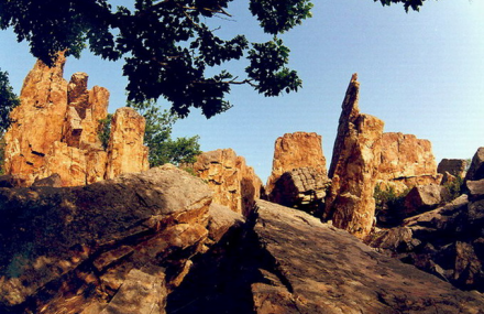 大连骆驼山海滨森林公园