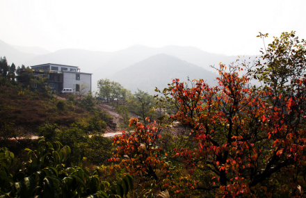 唐山成山万亩林