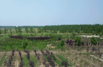 连云港罗阳湿地休闲度假区