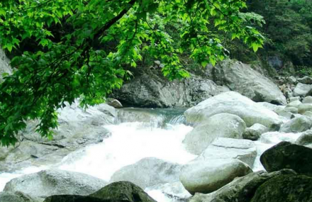 喀什森林旅游生态园