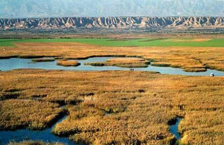 三门峡鼎湖芦苇荡