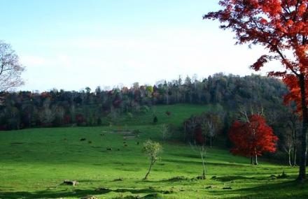 白山花山国家森林公园