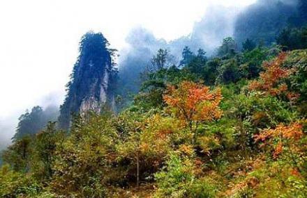 巴中佛头山森林公园