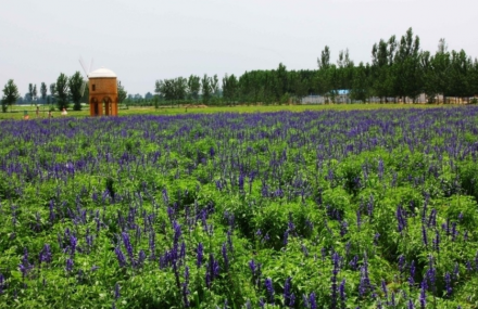 北京布拉格农场