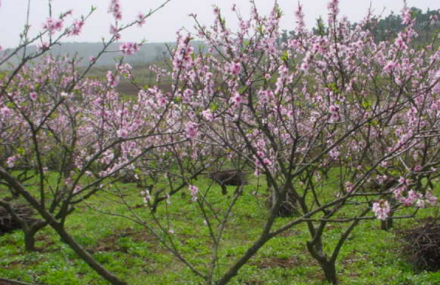 成都花果山生态观光农业旅游区
