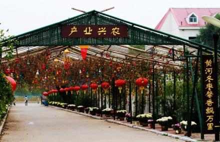 东营河口新户百枣园