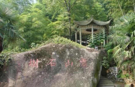 安庆灵山石树景区