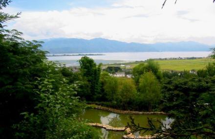 大理上关花公园