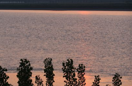 东营黄河展区生态园