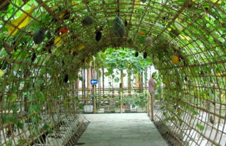 沧州神然生态农业园